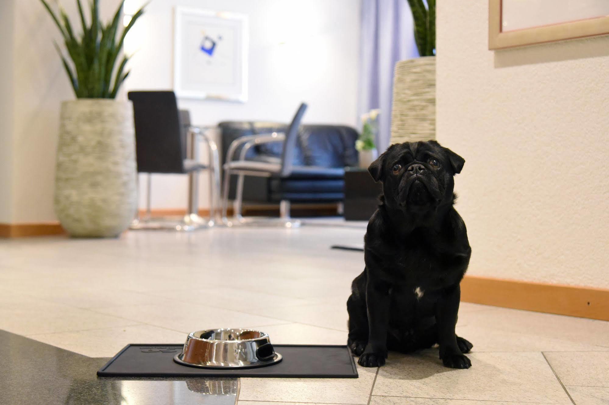 Hotel Engel Zofingen Zewnętrze zdjęcie